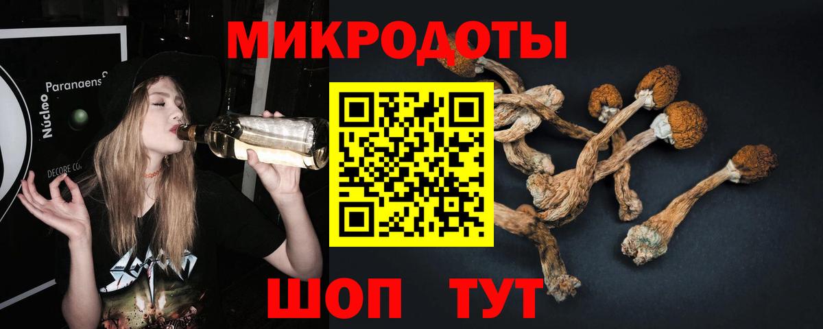 Псилоцибиновые грибы мицелий  Вход с VPN  продажа наркотиков  Чита 